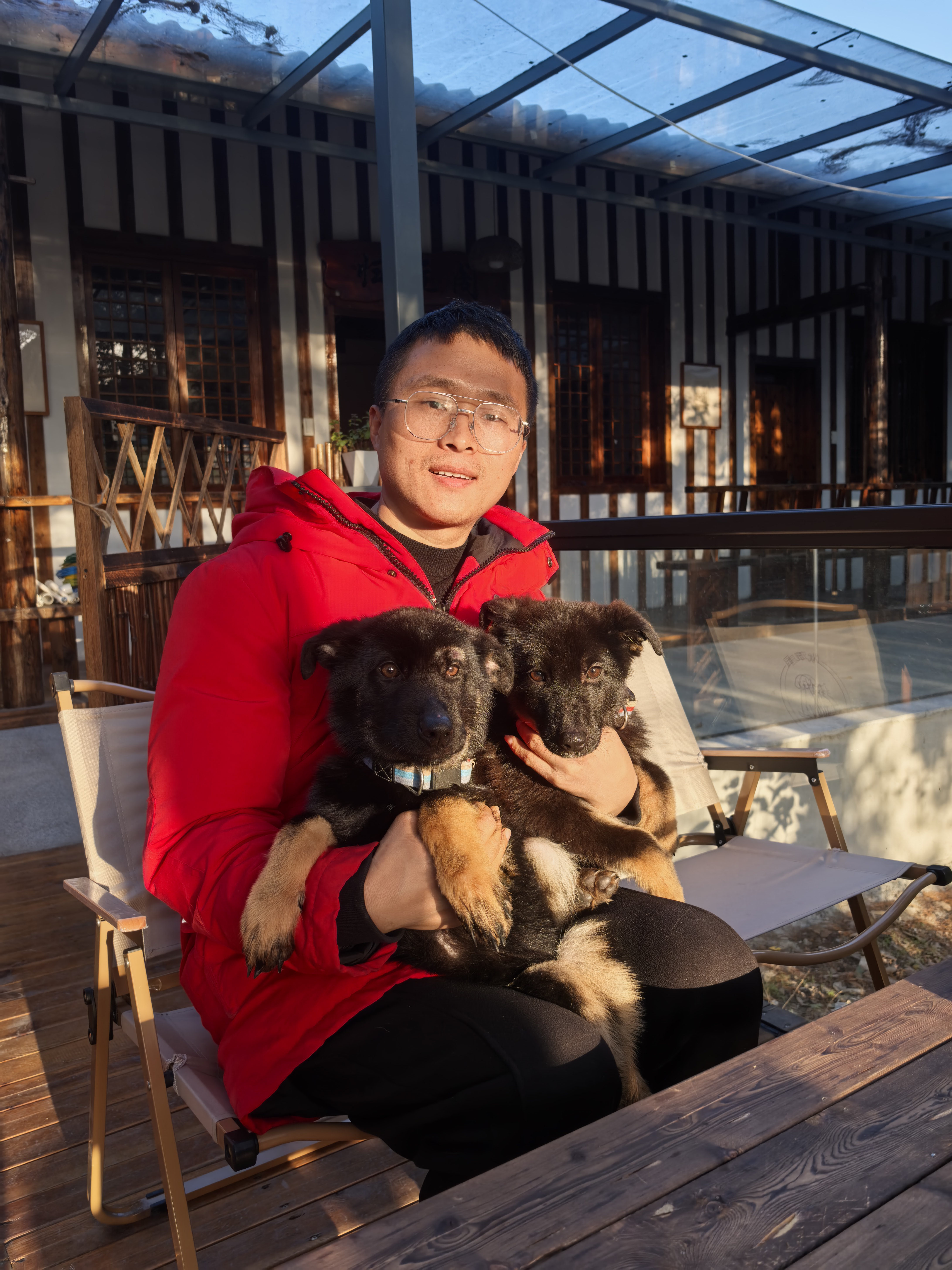 双血统带芯片+追踪器+信息牌